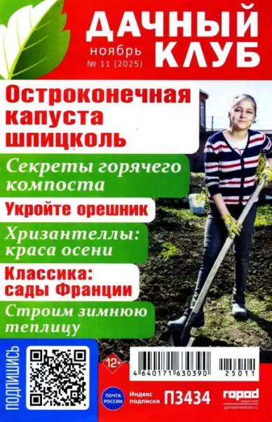 Дачный клуб №11 (ноябрь/2025)